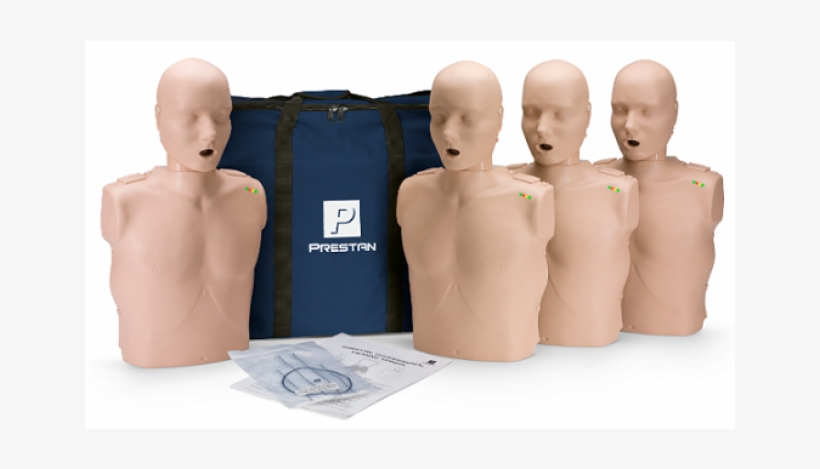 Prestan Professional Adult Cpr-aed Training Manikin - Prestan Cpr Adult Manikin 4 Pack, transparent png