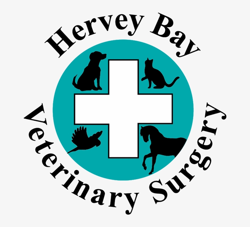 Hervey Bay Vet, transparent png
