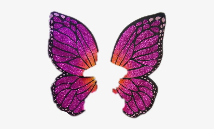 Barbie Butterfly Asas Flower Tumblr Amor Use Voar Pas - Picsart Photo Studio, transparent png