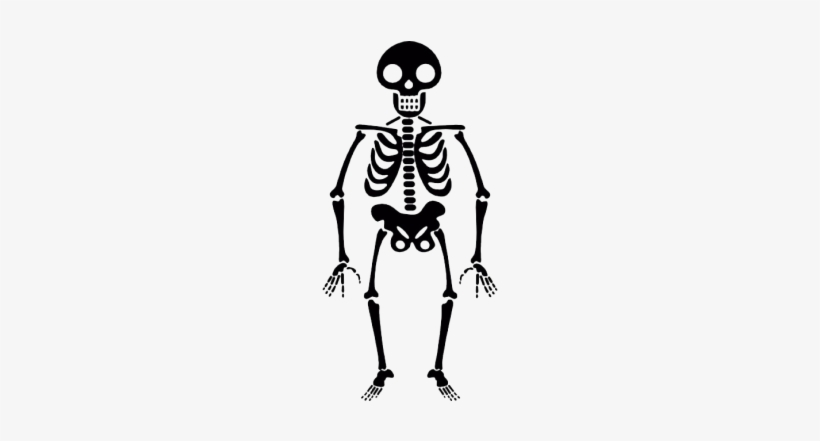 Halloween Skeleton - Skeleton Transparent, transparent png