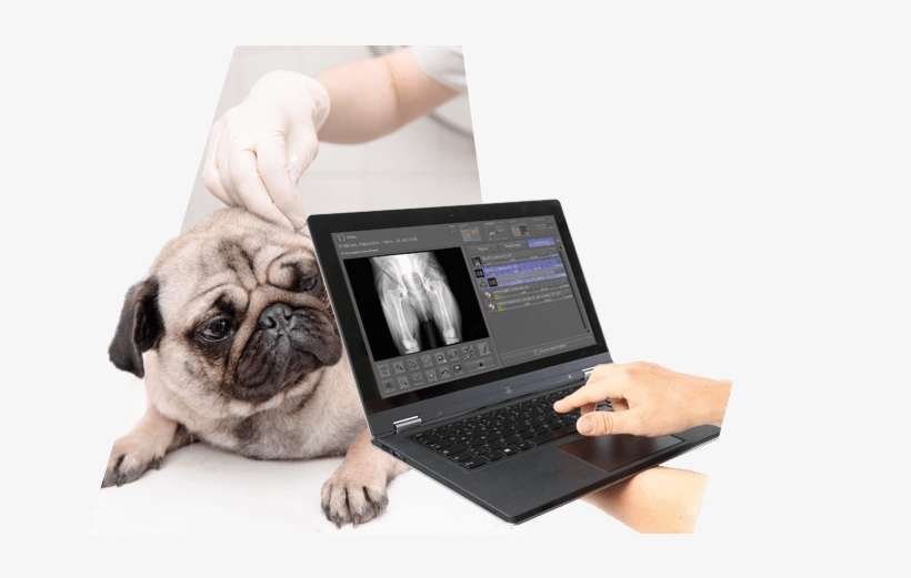 Kabellos/slider Digitales Nachruest - Portable Network Graphics, transparent png