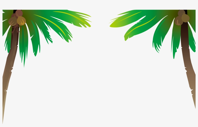 Arecaceae Coconut Euclidean Vector - Sea Vector, transparent png