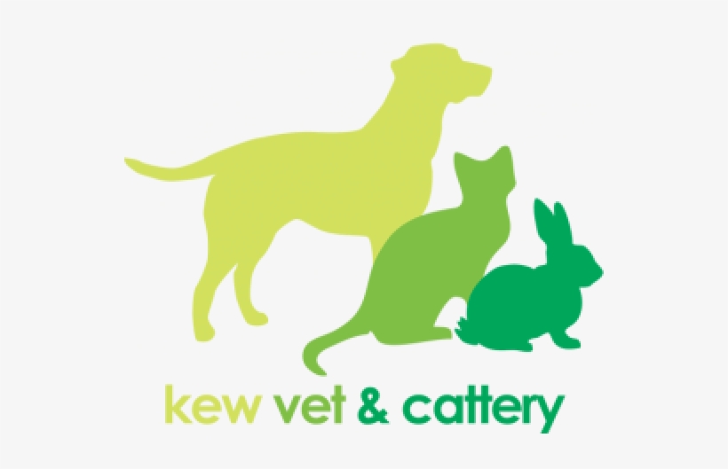 Veterinary Physician, transparent png