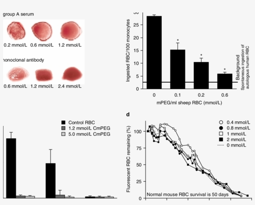 Previous Studies Of Methoxypoly [mpeg]-modified Red - Ethylene Glycol Red Blood Cell, transparent png
