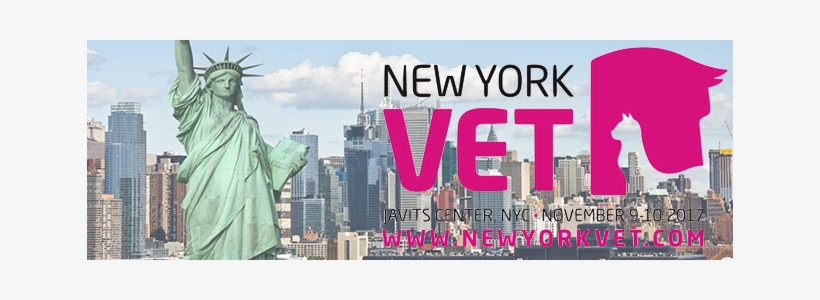 Ny Vet - Statue Of Liberty, transparent png