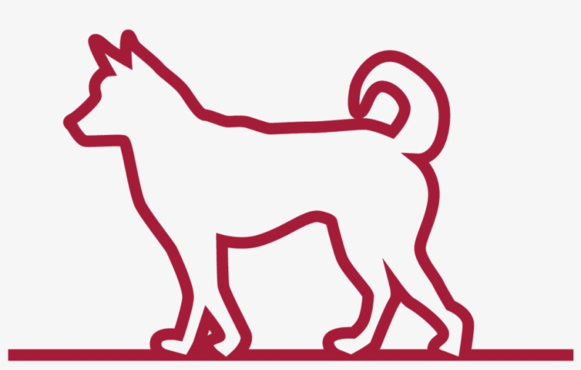 New Puppy Or Kitten - Dog Outline, transparent png