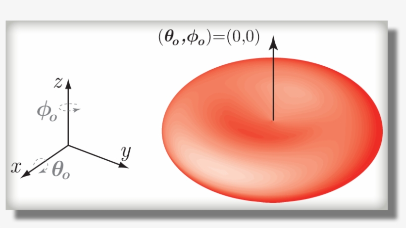 Default Orientation Of An Ordinary Rbc - Circle, transparent png
