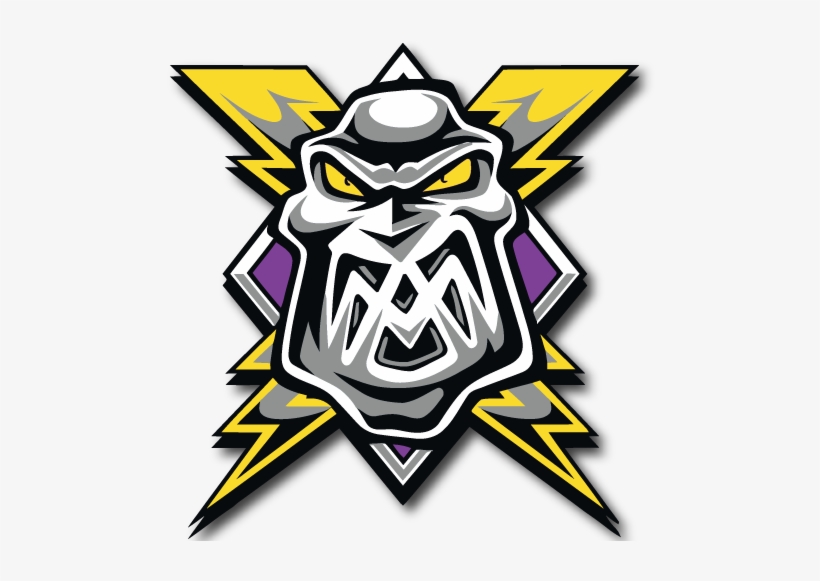 Manchester Storm - Sheffield Steelers Vs Manchester Storm, transparent png