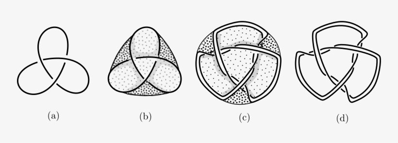 I Am Studying Lamination Knots And Links - Line Art, transparent png