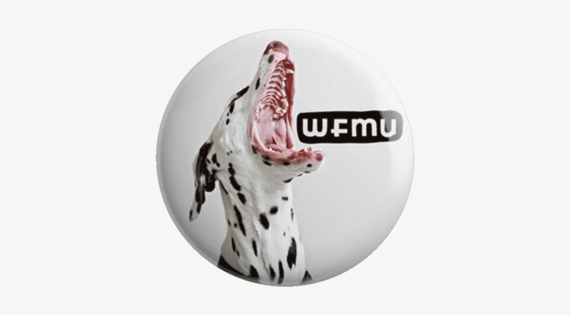 Murro The Dalmation Pin - Dog Catches Something, transparent png