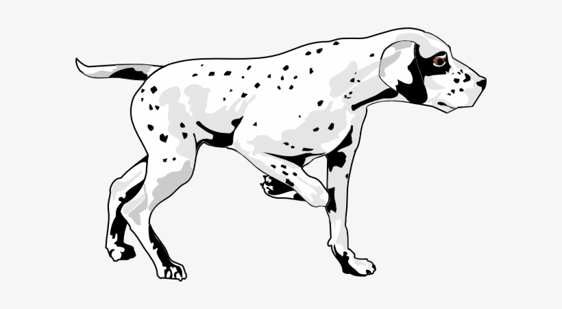 Small - Management Of Cardiac Disease In Dogs, transparent png