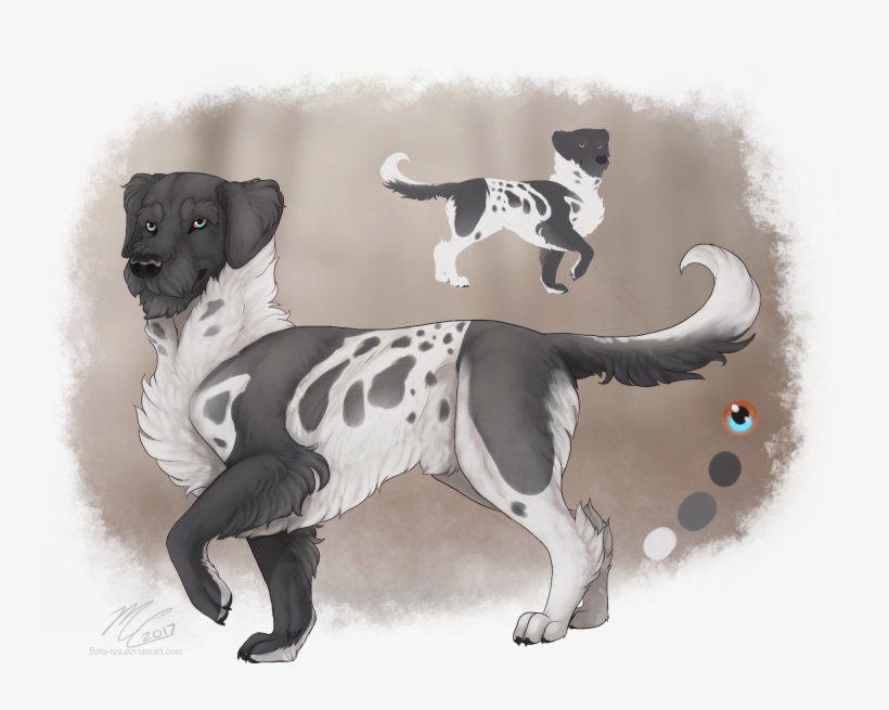 [closed] Adoptable - Poodle/dalmation Mix - Adoption, transparent png