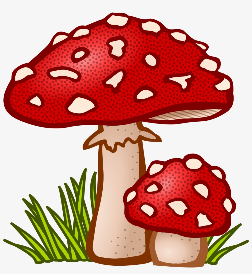 This Free Icons Png Design Of Toadstool, transparent png