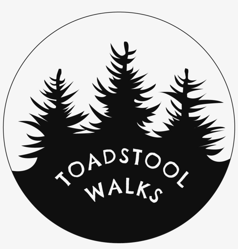 Toadstool Walks Forest Bathing In The Green And Forested - Mushroom, transparent png