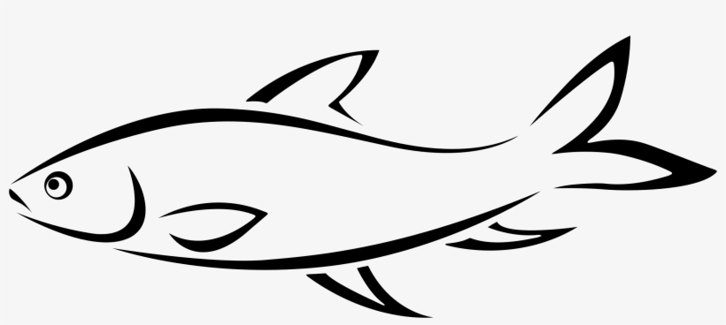 Drawing Clipart Fish Line - Fish Drawing Png, transparent png