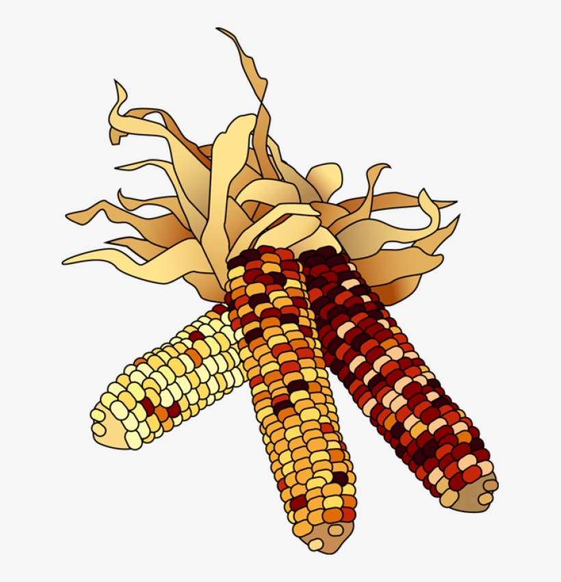 Free Indian Thanksgiving Cliparts, Download Free Clip - Indian Corn Clip Art, transparent png