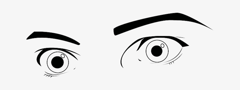 Eyes, Eyebrows, Brows, Seeing, Observing, Looking - Eyes Wide Open, transparent png