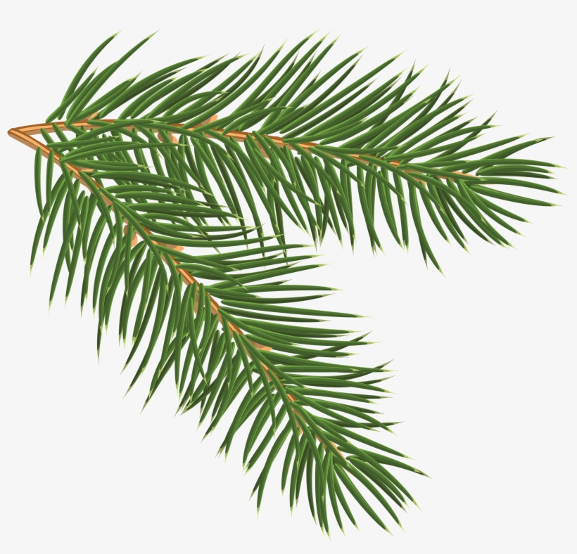 Pine Branch, Christmas Clipart, Silhouette, Scrapbook - Clip Art Pine Branch, transparent png