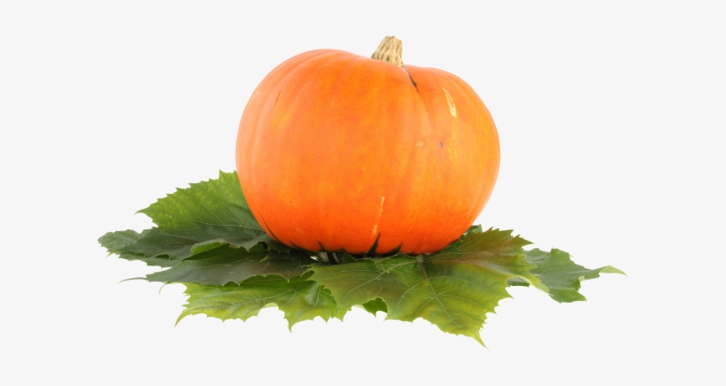 Pumpkin Png Free Download - Pumpkin Png, transparent png