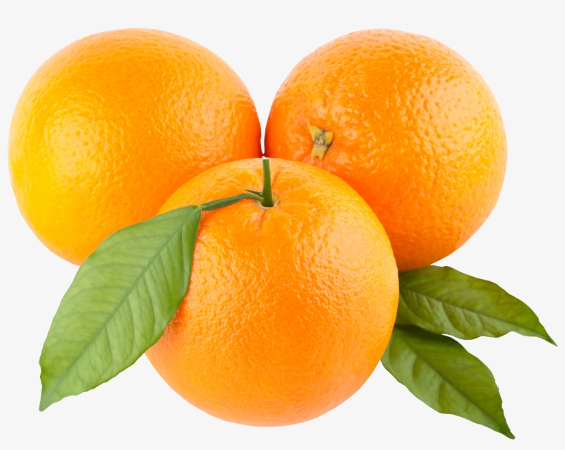 Juicer Orange Manual Squeezer Lime Lemon Heavy Duty, transparent png