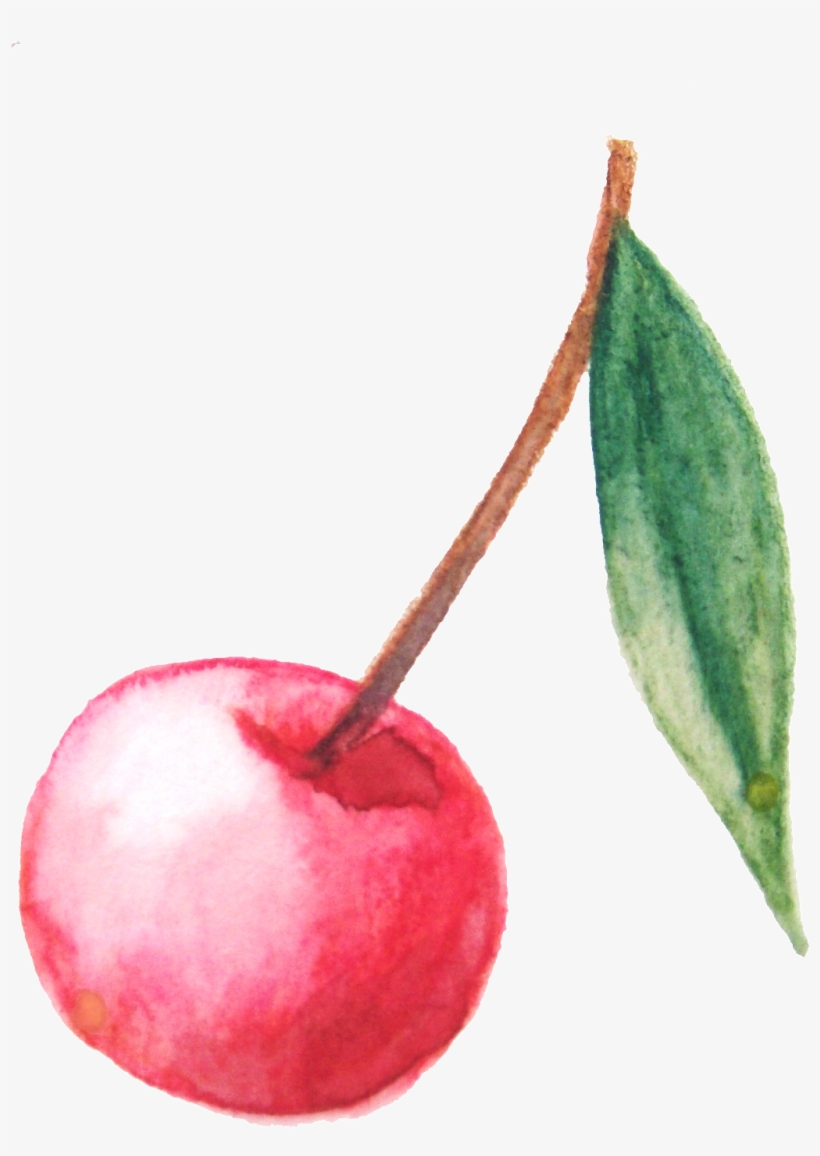 Red Hand Painted Style Cherry Transparent - Cherry, transparent png