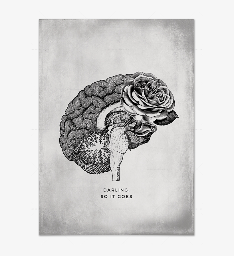 Falling Love Brain - Zazzle Gehirn-anatomie-illustrations-plakat Poster, transparent png