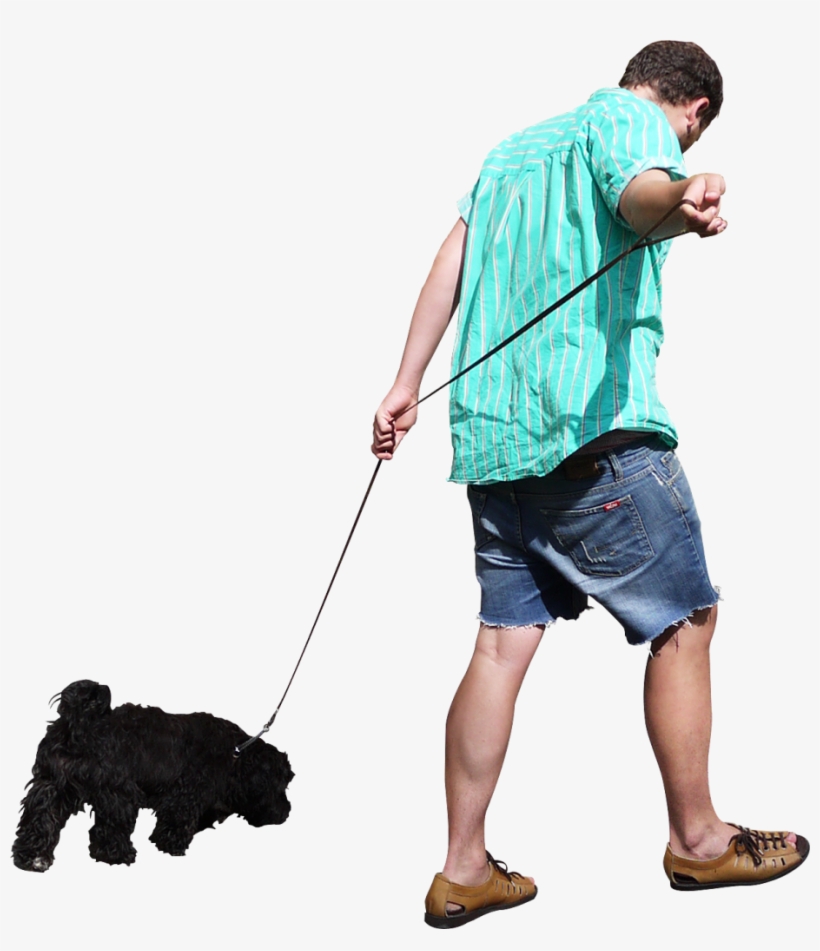 Walking The Dog Png Image - People Walking Png, transparent png
