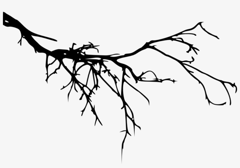 Png File Size - Tree Branches Silhouette, transparent png