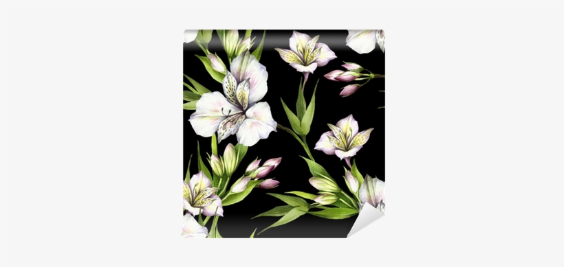 Alstroemeria Drawing Watercolor Svg Freeuse - Drawing, transparent png