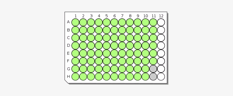 Circle, transparent png