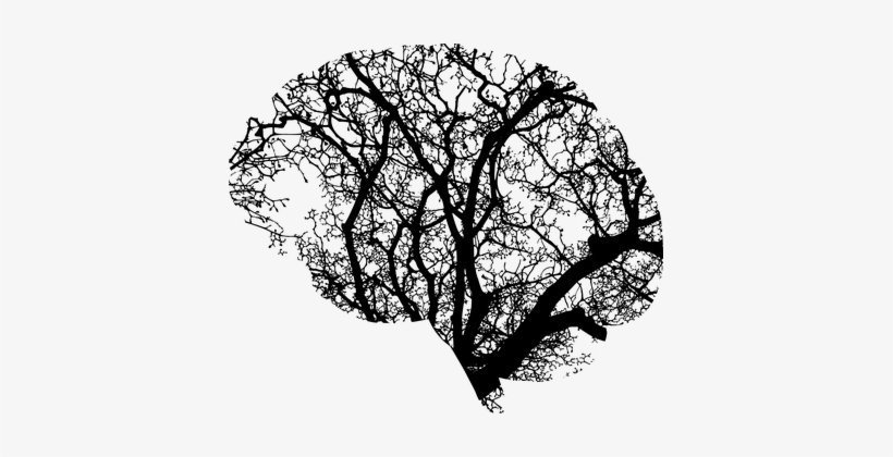 Brain Anatomy - Mental Illness, transparent png