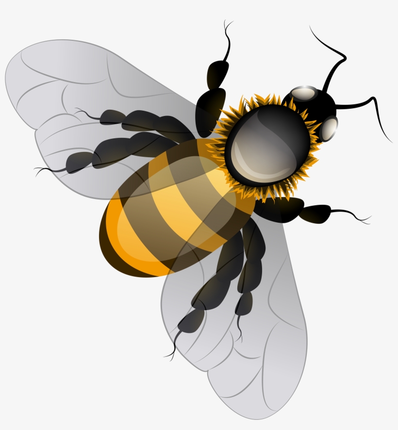 Bee Png Clip Art - Clip Art Bee Png, transparent png
