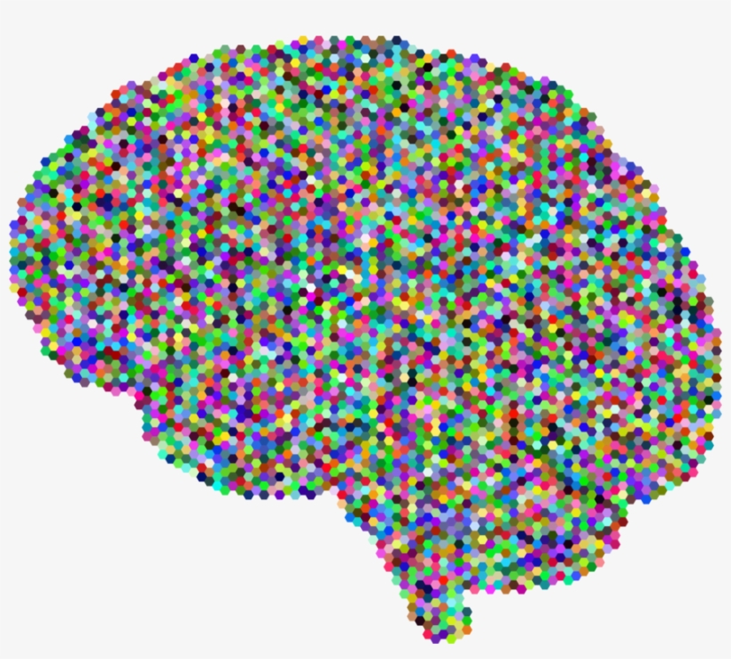Human Brain Computer Icons Drawing Skull - Colorful Brain No Background, transparent png