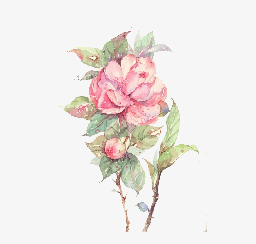Download Amazing High-quality Latest Png Images Transparent - Watercolor Painting, transparent png
