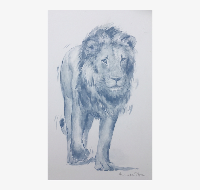 Ralph Lauren Lion - Masai Lion, transparent png