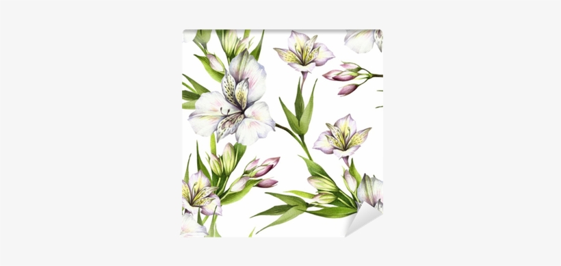 Alstroemeria Drawing Watercolor Svg Freeuse - Watercolor Painting, transparent png