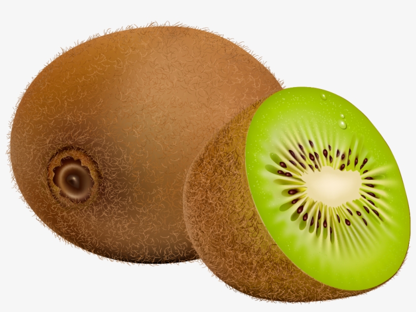 Kiwi Fruit Png Clipart - Kiwifruit, transparent png