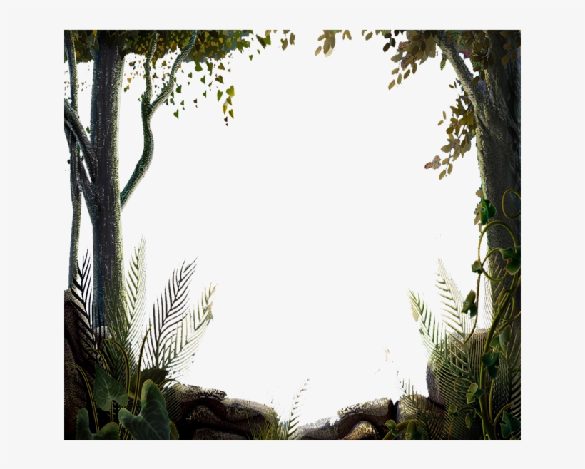 Nature Tree Forest Border Vector, Tree, Nature Design, Nature Tree