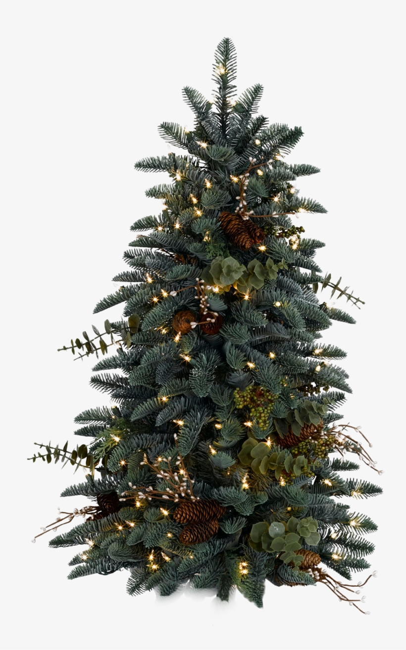 Christmas Frames, Christmas Paper, Santa Sleigh, Xmas - Christmas Tree Png Transparent, transparent png