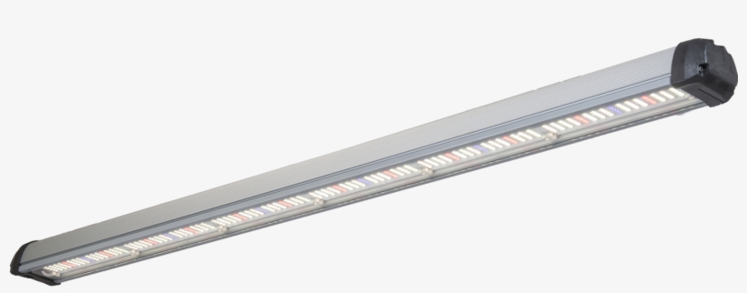 Led Grow Lights - Myoffice ペンケース 透明 ペン用 ギフトパッケージ ケース, transparent png