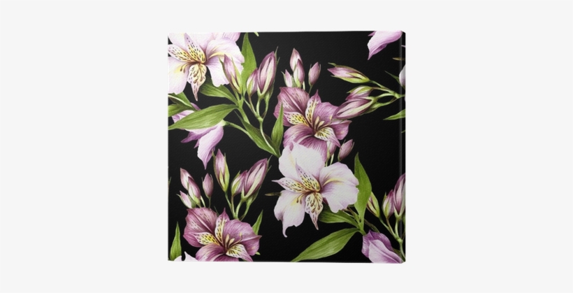 Alstroemeria Drawing Watercolor - Watercolor Painting, transparent png