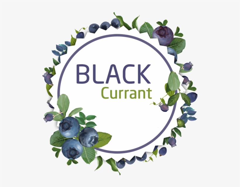 Decorative Watercolor Black Currant Wreath Stickers, - Psd, transparent png