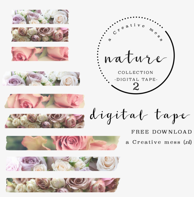 Washi Tape - Printable Washi Tape Nature, transparent png