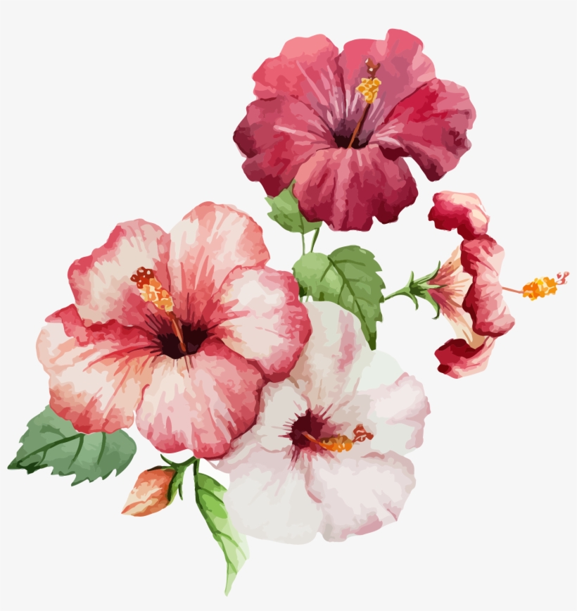 Jpg Download Hibiscus Flower Painting Flowers Transprent - Hibiscus Flower Watercolor Png, transparent png