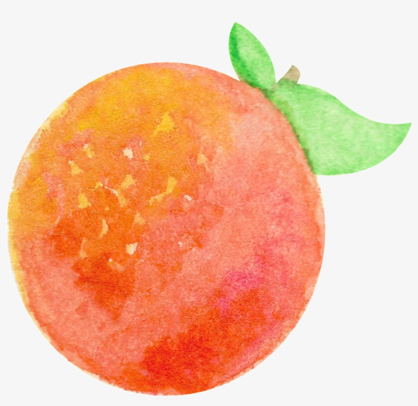 This Graphics Is Watercolor Hand Painted One Orange - Orange, transparent png