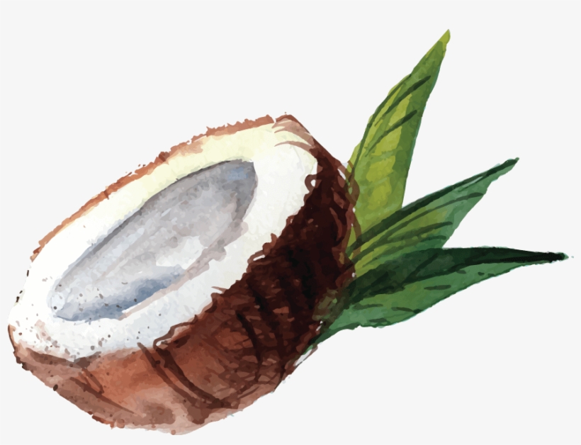 The Islands Are Known For Its Lush Forest With 92% - Coconut, transparent png