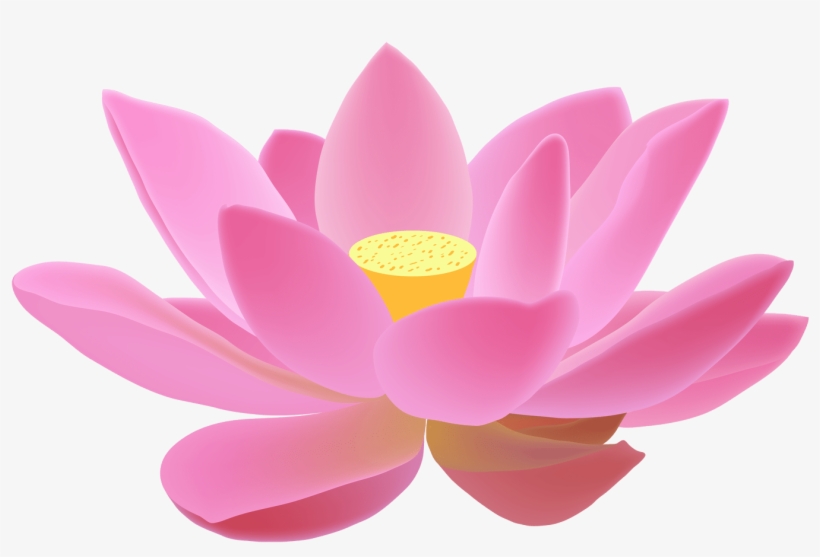 Lotus Free Png Clip Art Image - Lotus Png, transparent png