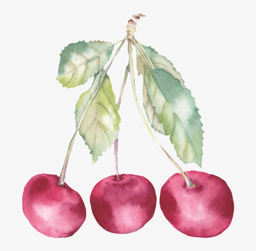 水彩画 水果, transparent png