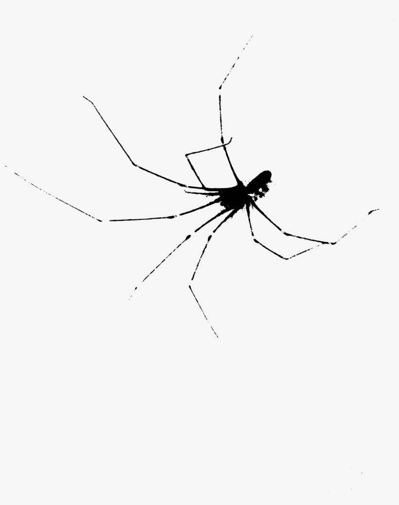 Spider Transparent Scary - Spider Web, transparent png