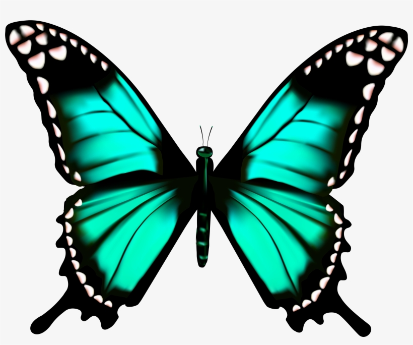 Butterfly Transparent Png Clip Art Imageu200b Gallery - Butterfly Wings Transparent, transparent png